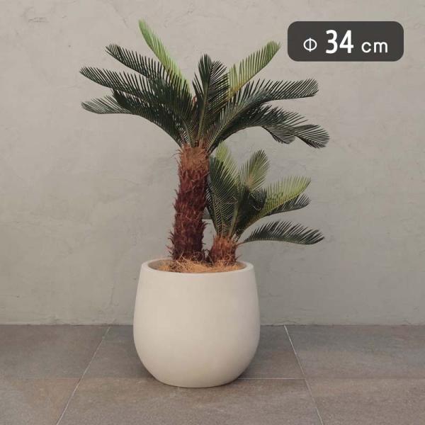 ベトラ トリウム M 34　≪大型植木鉢 陶器・テラコッタより軽量なセメントプランター≫