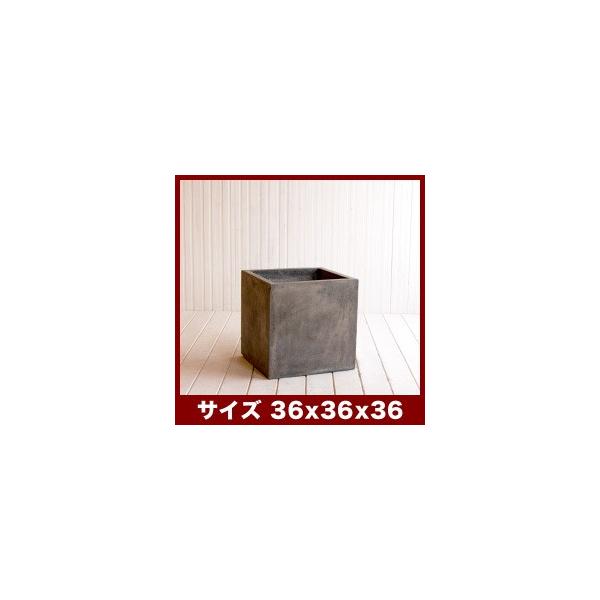 Aؔ@^v^[@RNA@02@L[u@36