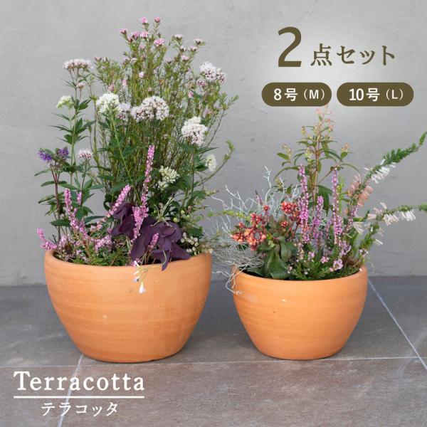 植木鉢　おしゃれ　テラコッタ　E26　L・M 2点セット