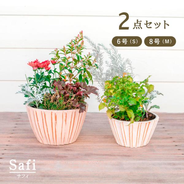 植木鉢　テラコッタ　サフィ　34W　M・S 2点セット