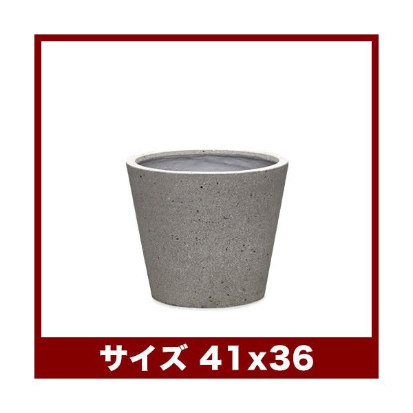 RjbN@eXg[@41@Aؔ/^/y//t@Co[Zgv^[