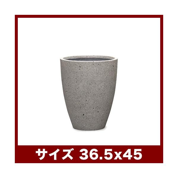 Jv@eXg[@36@Aؔ/^/y//t@Co[Zgv^[