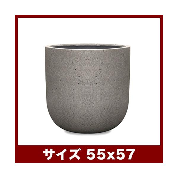 oS@eXg[@55@Aؔ/^/y//t@Co[Zgv^[