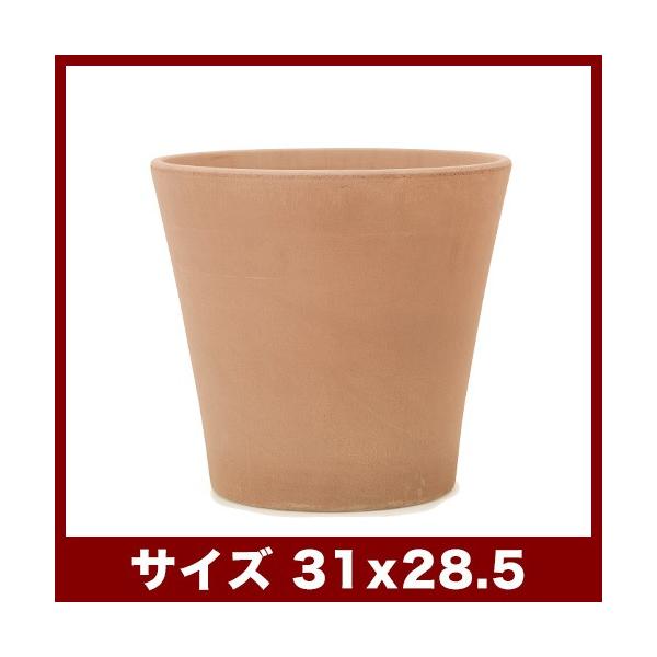 植木鉢　テラコッタ　エトナ　アリーナ　10号