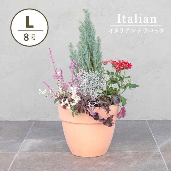 植木鉢　テラコッタ　パラディオ　アリーナ　8号