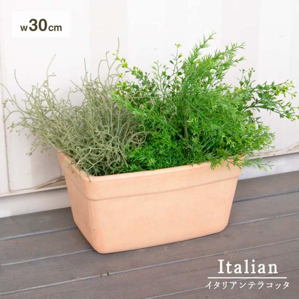 カセッタ ベネチア アリーナ ≪植木鉢 イタリアンテラコッタ鉢 素焼き鉢 イタリア ハーブ 横長≫