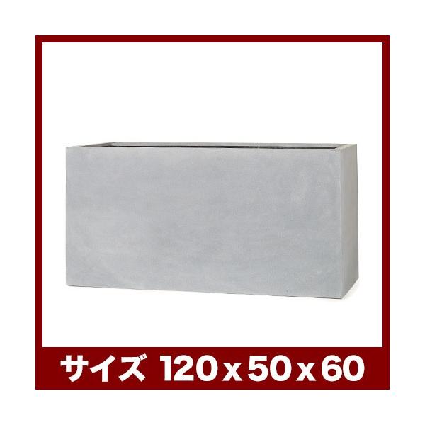 Aؔ@^v^[@}Oi@A[N@120