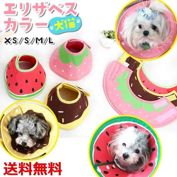 犬 エリザベスカラー 布の人気商品 通販 価格比較 価格 Com