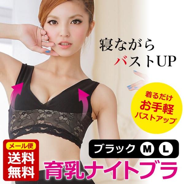 ナイトブラ 育乳ブラ 夜用ブラ ナイトブラジャー 姿勢矯正 バストアップ 夜 ブラ おやすみブラ ノンワイヤー 補正ブラジャー 育乳 スポーツブラ 送料無料 Buyee Buyee 提供一站式最全面最專業現地yahoo Japan拍賣代bid代拍代購服務 Bot Online