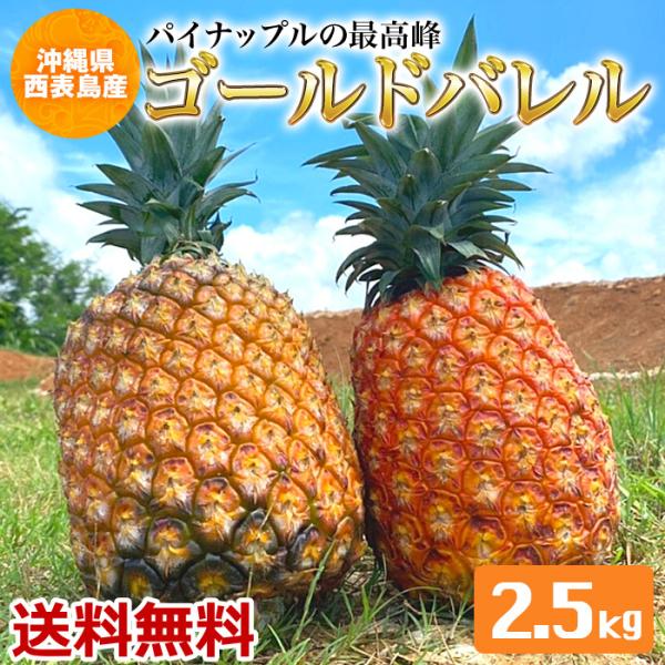ゴールドバレル 2.5kg (2〜3玉) パイン 西表島産 完熟 パイナップル
