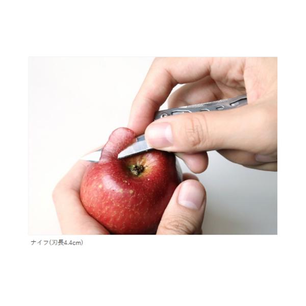 baron1533_miniflag_2_d_20230522165806