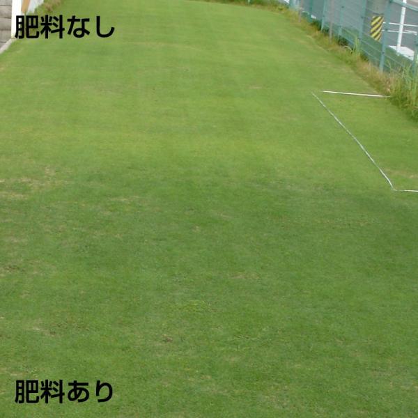 芝生 肥料 バロネス 芝生の肥料 5kg入り 緩効性化成肥料 細粒タイプ /【Buyee】 芝生 肥料 バロネス 芝生の肥料 5kg入り 緩効性化成肥料 細粒タイプ /【Buyee】