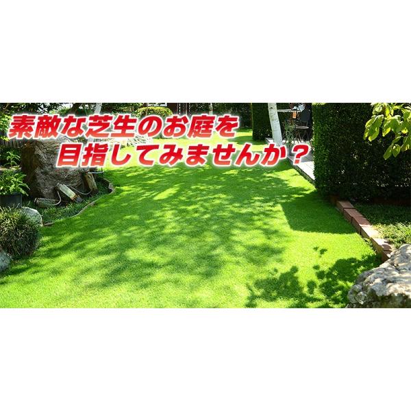 芝生 お手入れ 穴あけ エアレーション用ツール コンプリートセット タインエアレーター ターフカッター レーキ 送料無料 Buyee Buyee Japanese Proxy Service Buy From Japan Bot Online