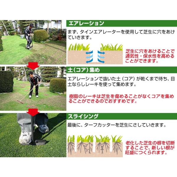 予約注文品 5月中旬頃出荷予定 芝生 お手入れ 穴あけ エアレーション用ツール コンプリートセット タインエアレーター ターフカッター レーキ 送料無料 Buyee Buyee Japanese Proxy Service Buy From Japan Bot Online