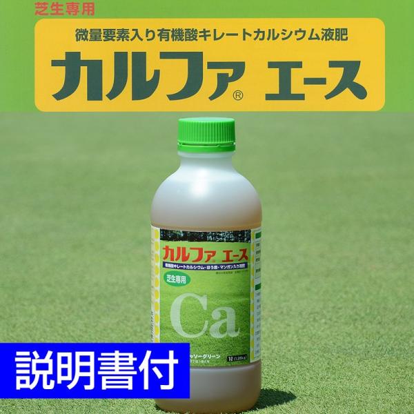 ŐpʗvfL@_L[gJVE엿(t) Jt@G[X1L