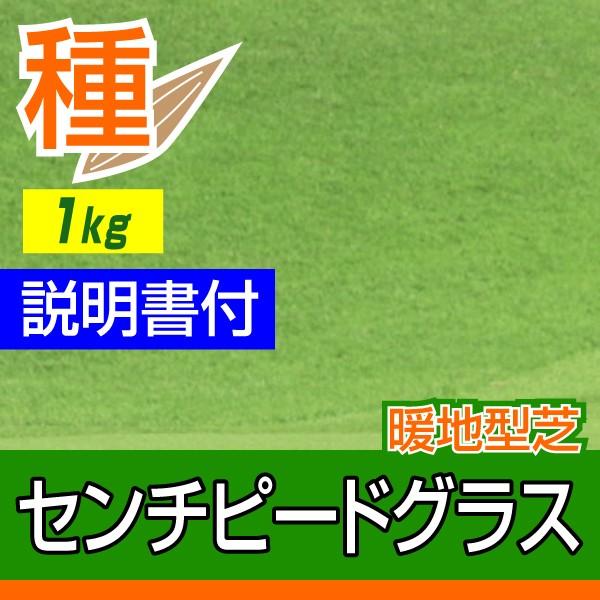 入荷予定なし 芝 芝生 種 暖地型 センチピードグラス 1kg Www Strojpolimer Ru