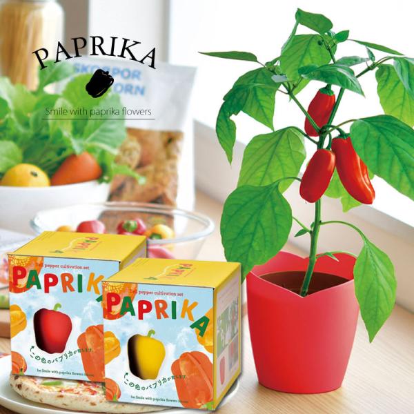 種 パプリカの人気商品 通販 価格比較 価格 Com