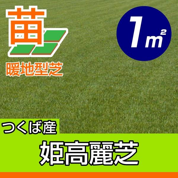 ９月下旬頃販売再開予定 産地直送 つくば産 姫高麗芝 張り芝用 １平米 0 3坪分 芝生 暖地型 天然芝 園芸 Himekorai I 1 芝生のことならバロネスダイレクト 通販 Yahoo ショッピング