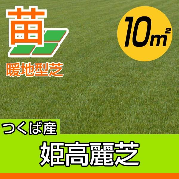 苗 姫高麗芝 芝生の人気商品 通販 価格比較 価格 Com