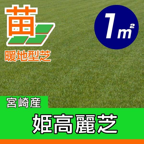 産地直送 宮崎産 姫高麗芝 張り芝用 １平米 0.3坪分 芝生 暖地型 天然芝 園芸