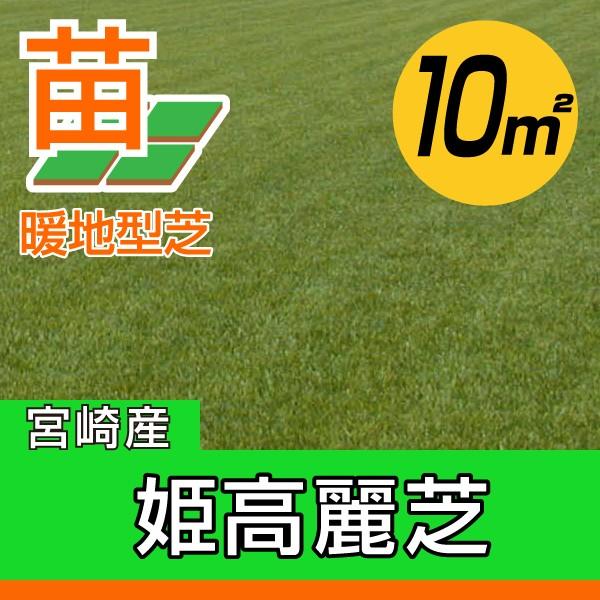 産地直送 宮崎産 姫高麗芝 張り芝用 １０平米 3坪分 芝生 暖地型 天然芝 園芸