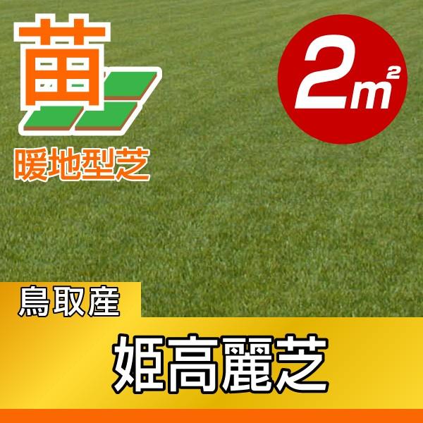 苗 姫高麗芝の人気商品 通販 価格比較 価格 Com