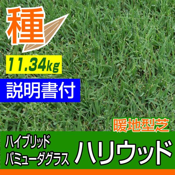 \񒍕i 1TԂŏo nCubhEo~[_OX nEbh 11.34kg ̍L203`305ؗp gn^ł̎ N Kێ20xȏłB