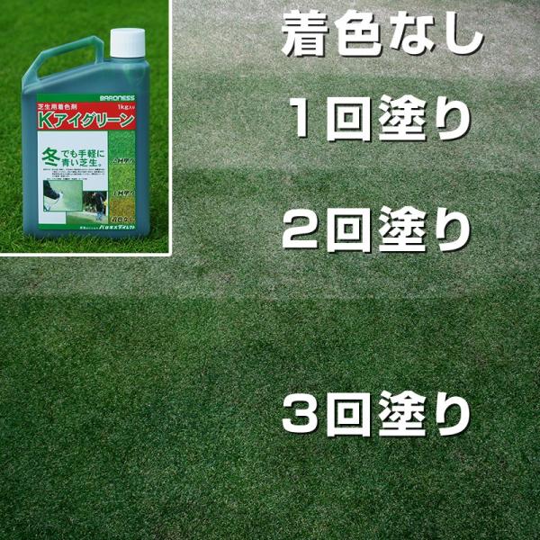 芝生 着色剤 冬も緑に バロネス ｋアイグリーン 1kg入り Buyee Buyee Japanese Proxy Service Buy From Japan Bot Online
