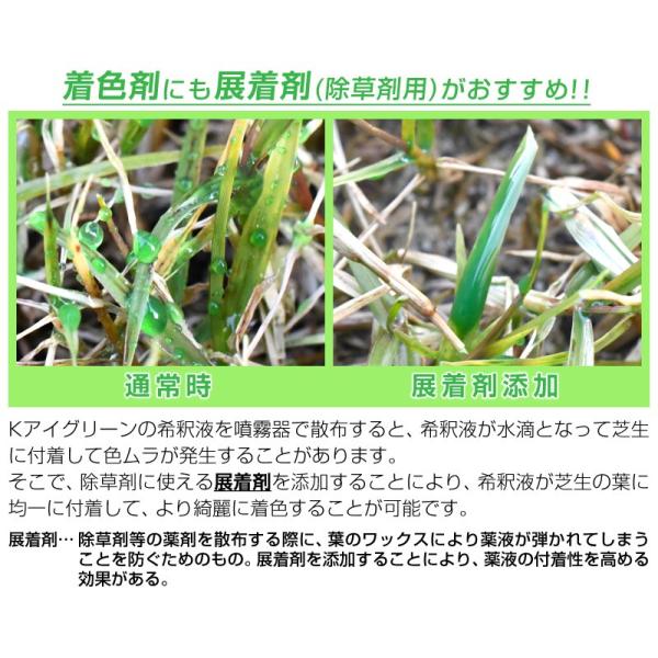 芝生 着色剤 冬も緑に バロネス ｋアイグリーン 1kg入り Buyee 日本代购平台 产品购物网站大全 Buyee一站式代购 Bot Online