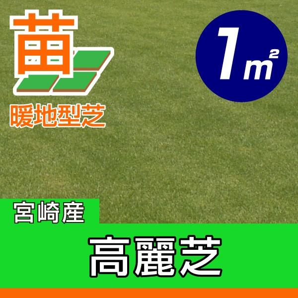 1平米 高麗芝 宮崎産 張り芝用 0.3坪分 芝生 暖地型 天然芝 園芸 産地