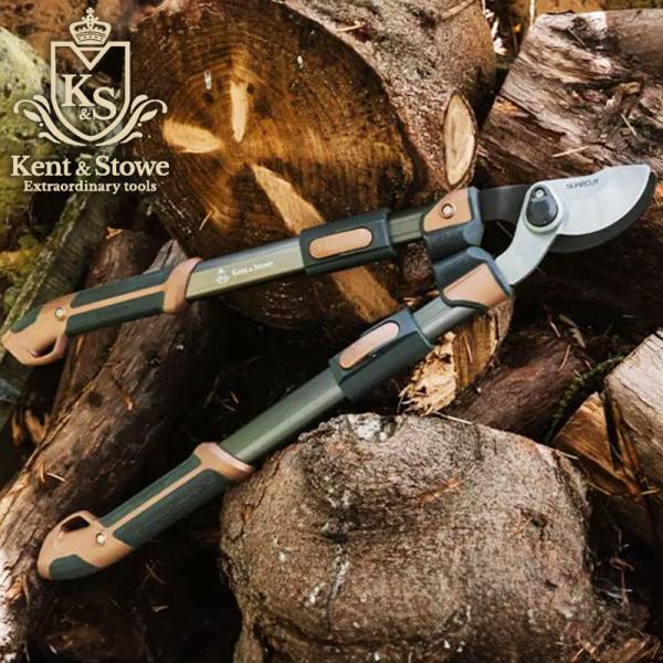 baroness_ks-70100407