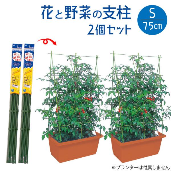 baroness_ks-n-mdb319-2set