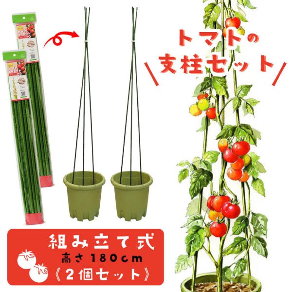 家庭菜園 トマト 支柱の人気商品 通販 価格比較 価格 Com