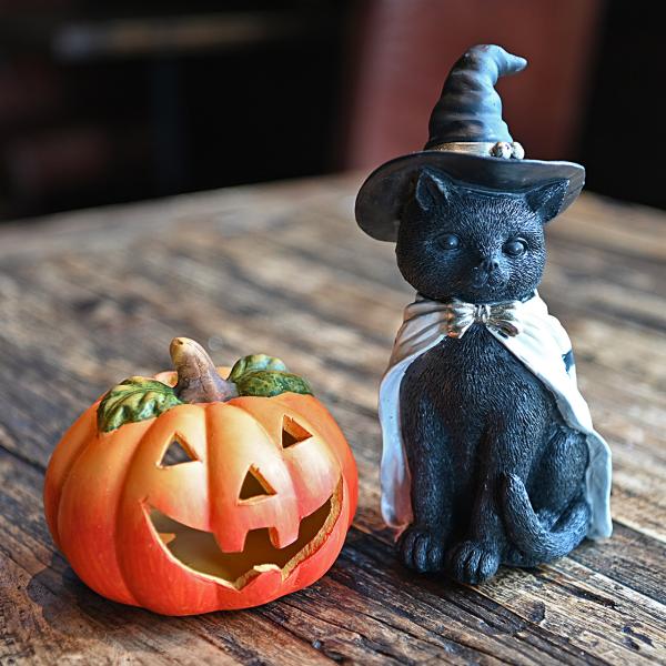 ハロウィン 黒猫＆パンプキンS セット 魔女帽子 コウモリマント
