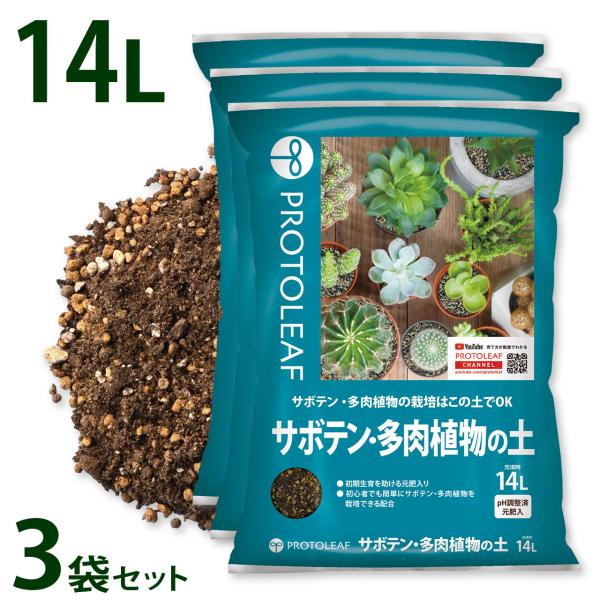 baroness_ks-p-peb062-3