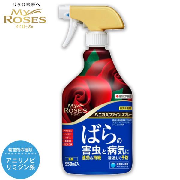住友化学園芸 殺虫殺菌剤 マイローズ ベニカXファインスプレー 950ml  園芸用品 ガーデニング うどんこ病 黒星病 KINCHO園芸