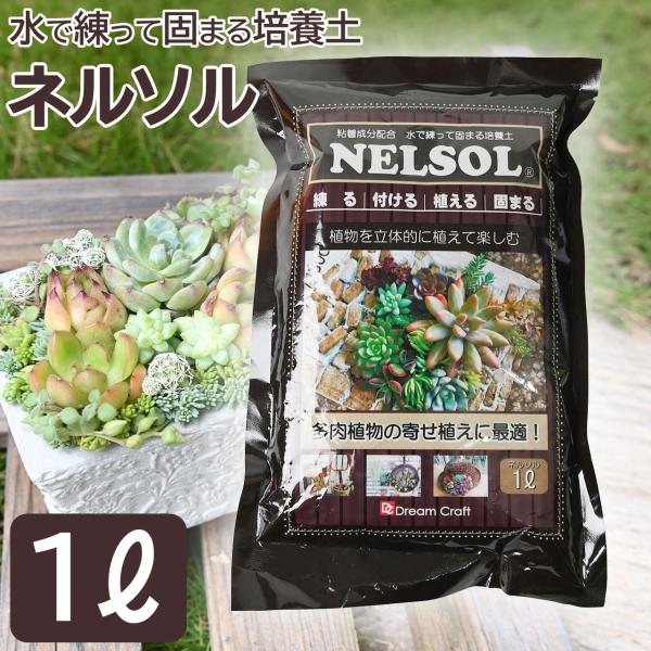 固まる培養土 ネルソル 1L 多肉植物 寄せ植え 壁掛け サボテン 水で練る 崩れない ちまちま寄せ