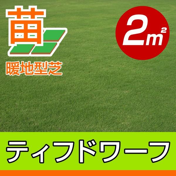 販売時期未定 2平米 ティフドワーフ宮崎産 張り芝用 0.6坪分 芝生