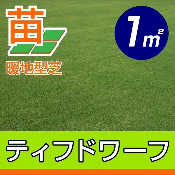 ９月下旬頃販売再開予定 産地直送 宮崎産 ティフドワーフ 張り芝用 １平米 0 3坪分 芝生 暖地型 天然芝 園芸 Ky Tifdwarf 1 芝生のことならバロネスダイレクト 通販 Yahoo ショッピング