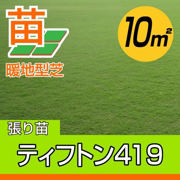 ９月下旬頃販売再開予定 産地直送 宮崎産 ティフトン419 張り芝用 １０平米 3坪分 芝生 暖地型 天然芝 園芸 Ky Tifton419 10 芝生のことならバロネスダイレクト 通販 Yahoo ショッピング
