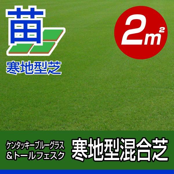 寒地型混合芝 ケンタッキーブルーグラス トールフェスク 張り芝用 プレミアム苗 2平米 約0 6坪分 園芸 Mixturf Kt 2 芝生のことならバロネスダイレクト 通販 Yahoo ショッピング