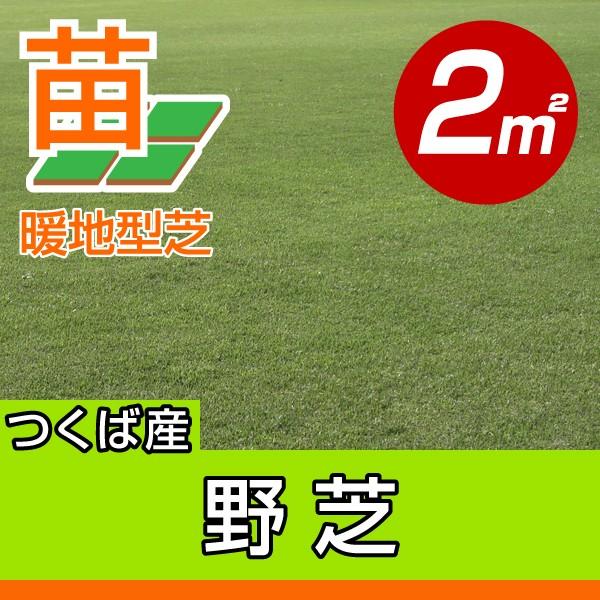 産地直送 つくば産 野芝 張り芝用 張り芝用 ２平米 0 6坪分 芝生 暖地型 天然芝 園芸 Noshiba I 芝生のことならバロネスダイレクト 通販 Yahoo ショッピング