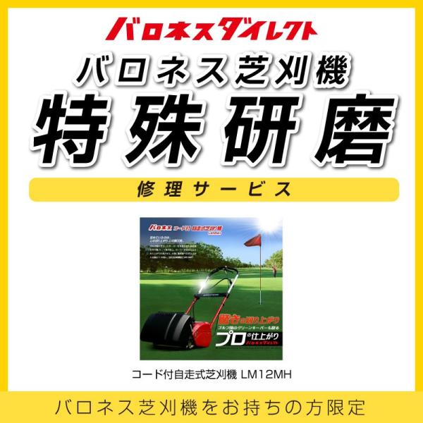 バロネス バロネス芝刈機 LM12MH 特殊研磨 修理サービス : 芝生のこと