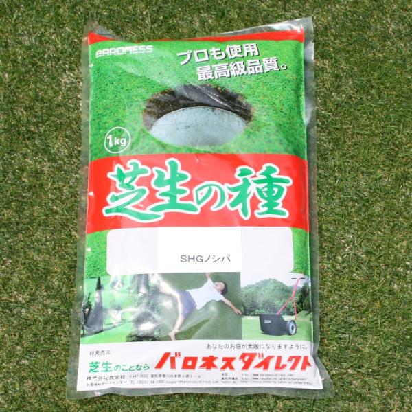 野芝の種販売 – 芝生の植え方 種まき – BUXSW