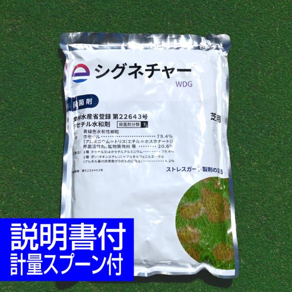 芝生用殺菌剤 病気 病害 シグネチャーWDG 1kg 赤焼病 ピシウム病
