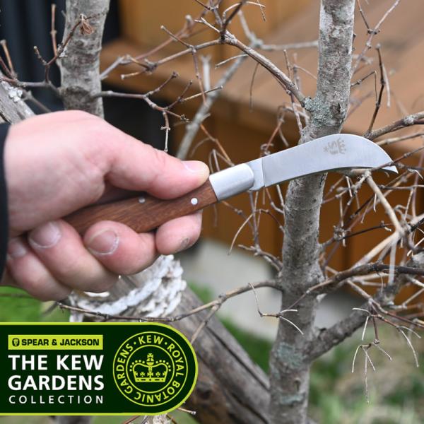 Spear＆Jackson（スピア＆ジャクソン） 〜キューガーデンコレクション〜の剪定ナイフです。二枚刃のはさみと違って茎をつぶさないので、より綺麗な切り口でカットすることができます。バラなど花の剪定や野菜の収穫、小枝切りにおすすめです。麻...