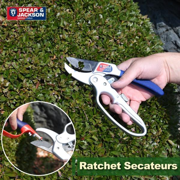 はさみ 油 農業資材 ガーデニング用品の人気商品 通販 価格比較 価格 Com