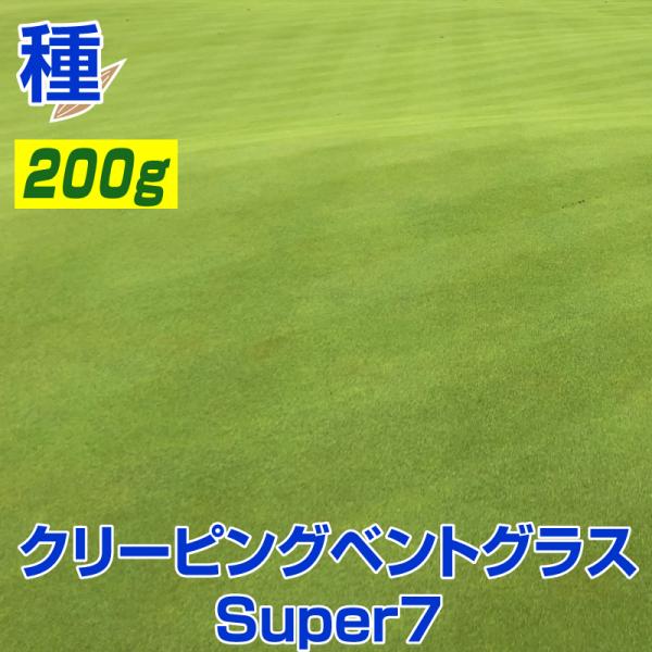 7月ご予約☆瑞葉ページ No.437]デスクダイアリー カジュアル 7【ウォームグレイ】