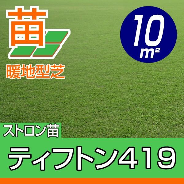 21年5月頃販売再開予定 産地直送 ティフトン419 蒔き芝用 約10平米 ３坪 分 芝生 暖地型 園芸 Tifton419 芝生のことならバロネスダイレクト 通販 Yahoo ショッピング