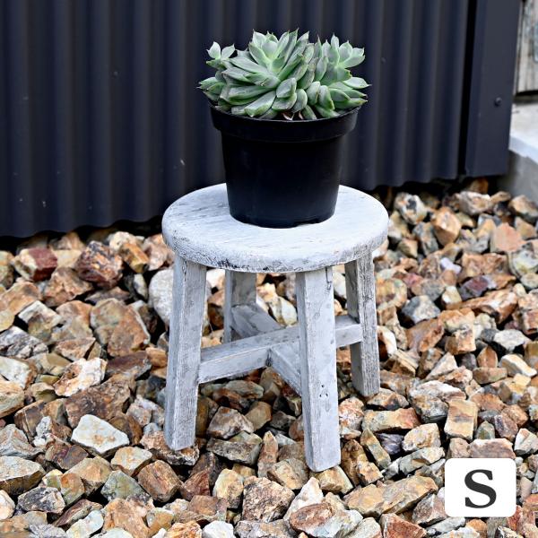 ナチュラル感たっぷりの木製のフラワースタンド。お庭やベランダでお気に入りの植物を置くだけで雰囲気のある素敵な空間に。シンプルなデザインはお家の中でも外でも使いやすく、置く場所を選ばずにお花や観葉植物を引き立てて素敵に飾ることができます。サイ...